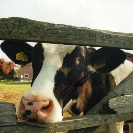 Bauernhof Urlaub Nr 4 - 3-personen