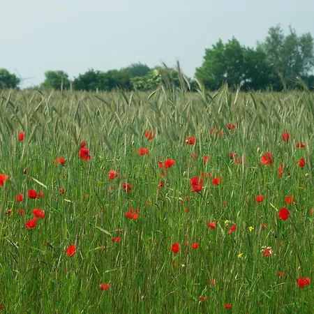 Lejlighed Bauernhof Urlaub Nr 4 - 3-personen